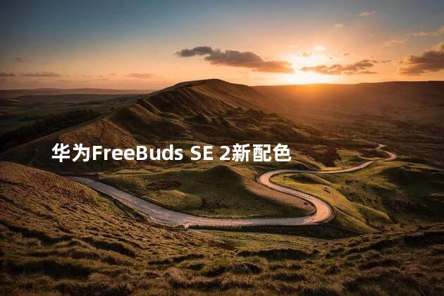 华为FreeBuds SE 2新配色正式开售